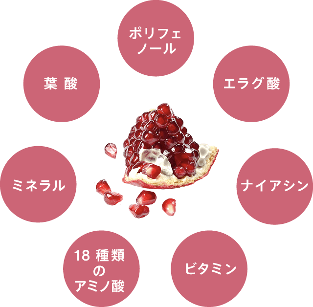 ザクロの栄養素(ポリフェノール、エラグ酸、ナイアシン、ビタミン、18種類のアミノ酸、ミネラル、葉酸)