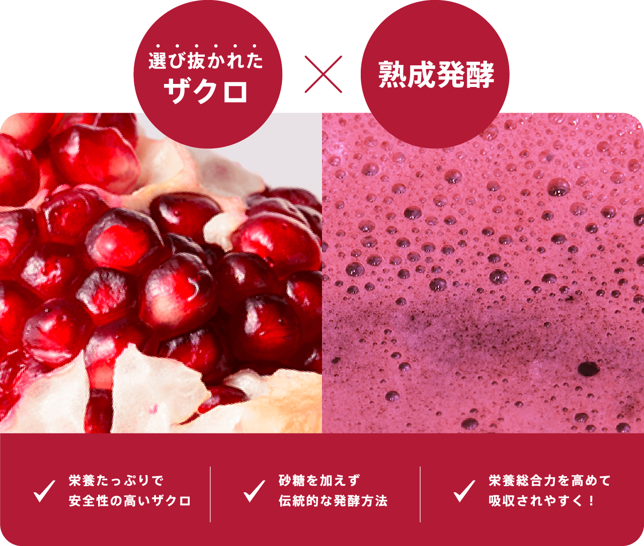 「選びぬかれたザクロ×熟成発酵」栄養たっぷりで安全性の高いザクロ。砂糖を加えず伝統的な発酵方法。栄養総合力を高めて吸収されやすく！